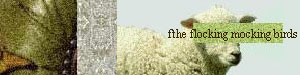 sheep